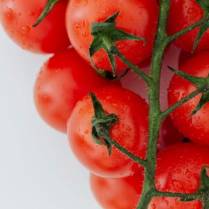 Top view of branch of red ripe tomatoes with water drops placed on pile of tomatoes on white background