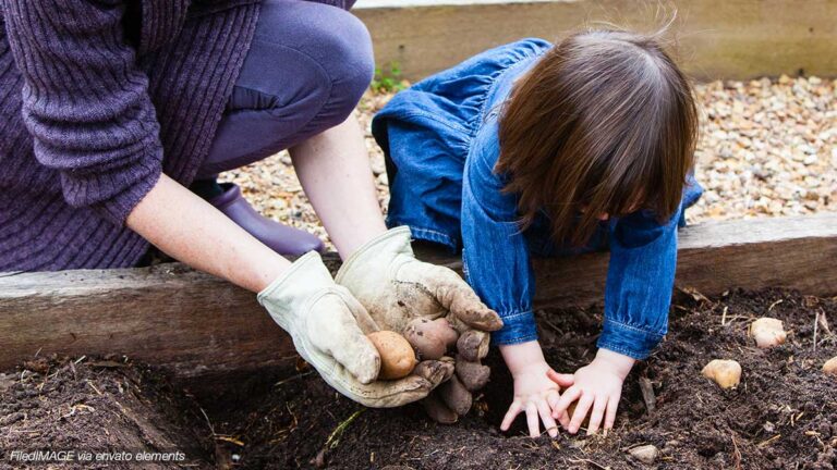 Garten mit Kindern anlegen – Ideen und Ratgeber